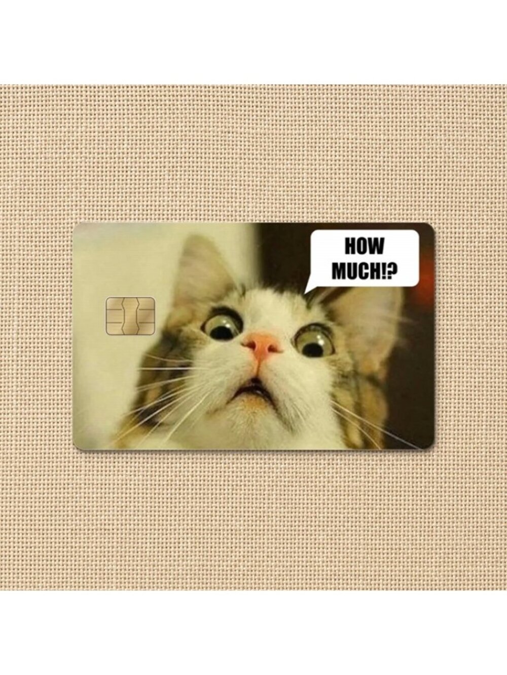 Funny Cat Credit Card Skin Decal - HOW MUCH!?